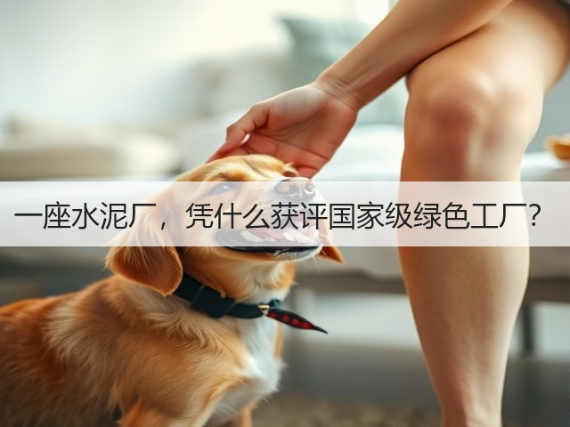 一座水泥厂，凭什么获评国家级绿色工厂？(图3)