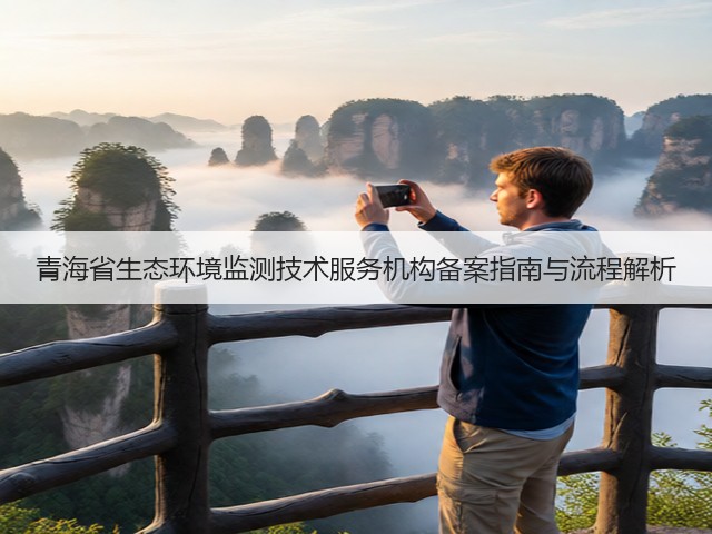 青海省生态环境监测技术服务机构备案指南与流程解析(图3)