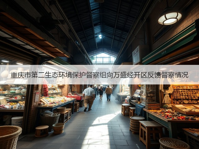 重庆市第二生态环境保护督察组向万盛经开区反馈督察情况(图3)