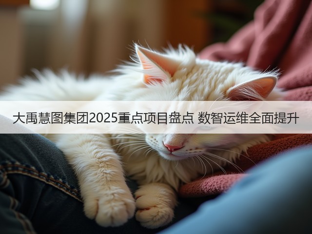 大禹慧图集团2025重点项目盘点 数智运维全面提升(图1)