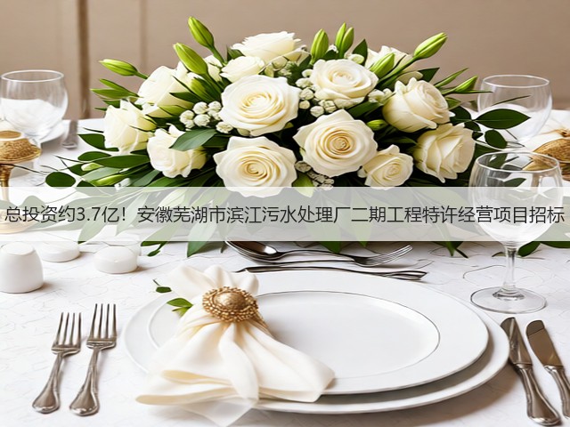总投资约3.7亿！安徽芜湖市滨江污水处理厂二期工程特许经营项目招标(图1)