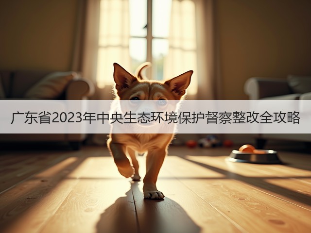 广东省2023年中央生态环境保护督察整改全攻略(图1)