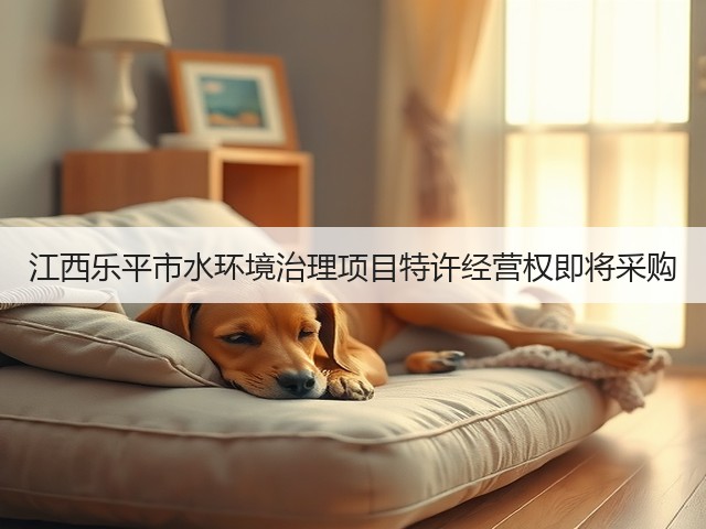 江西乐平市水环境治理项目特许经营权即将采购(图1)