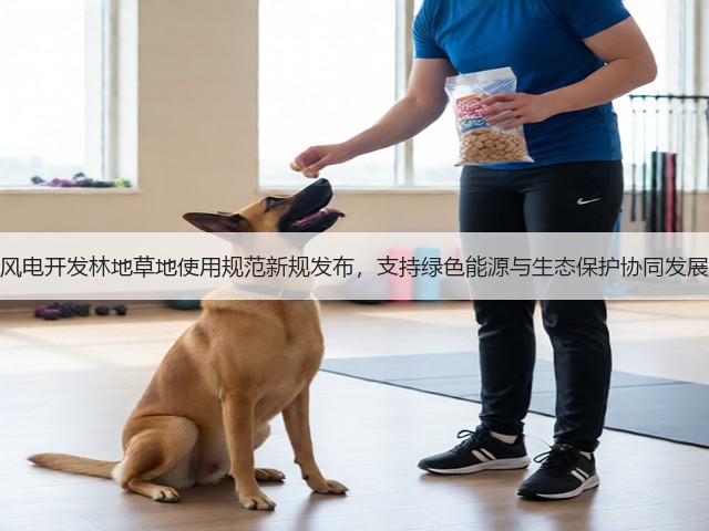 风电开发林地草地使用规范新规发布，支持绿色能源与生态保护协同发展(图3)