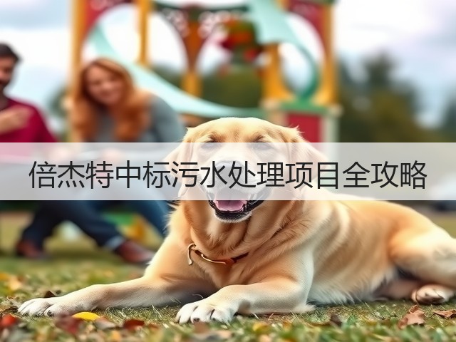 倍杰特中标污水处理项目全攻略(图3)