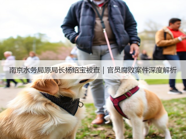 南京水务局原局长杨绍宝被查｜官员腐败案件深度解析(图1)