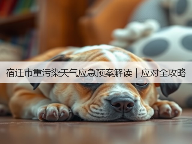 宿迁市重污染天气应急预案解读｜应对全攻略(图3)
