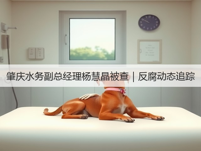 肇庆水务副总经理杨慧晶被查｜反腐动态追踪(图1)