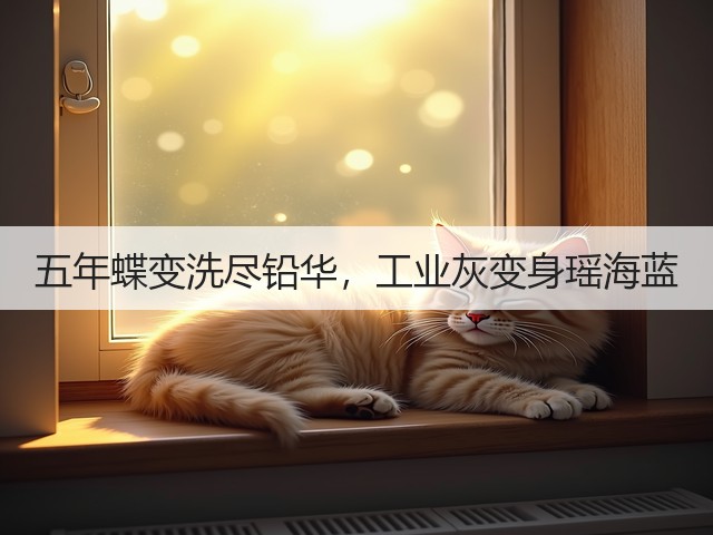 五年蝶变洗尽铅华,工业灰变身瑶海蓝(图2) 五年蝶变洗尽铅华,工业灰变身瑶海蓝(图2)