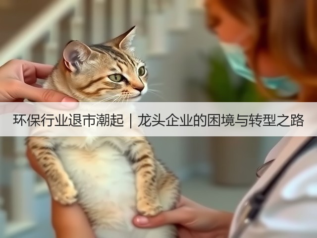环保行业退市潮起｜龙头企业的困境与转型之路(图3)