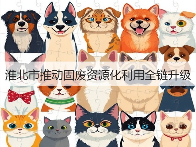 淮北市推动固废资源化利用全链升级(图2)