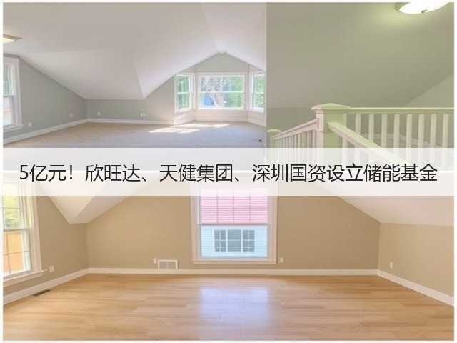 5亿元！欣旺达、天健集团、深圳国资设立储能基金(图3)