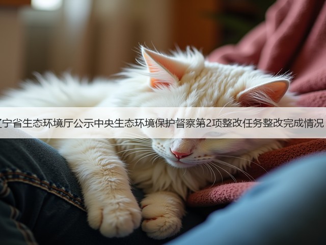 辽宁省生态环境厅公示中央生态环境保护督察第2项整改任务整改完成情况！(图3)