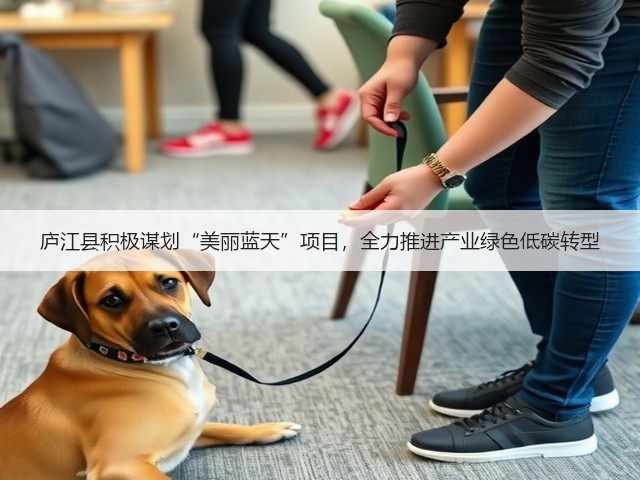 庐江县积极谋划“美丽蓝天”项目，全力推进产业绿色低碳转型(图2)