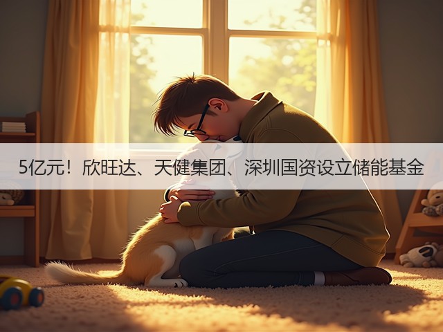 5亿元！欣旺达、天健集团、深圳国资设立储能基金(图1)