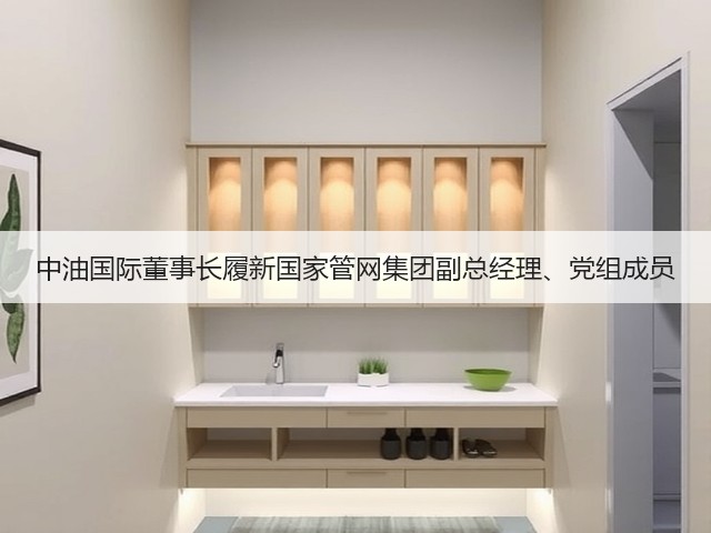 中油国际董事长履新国家管网集团副总经理、党组成员(图1)
