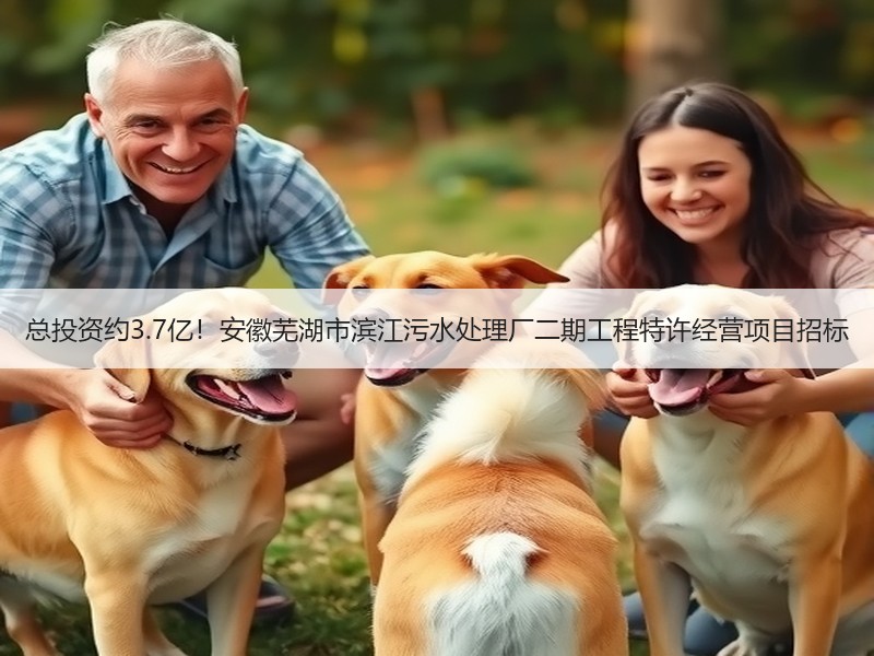 总投资约3.7亿！安徽芜湖市滨江污水处理厂二期工程特许经营项目招标