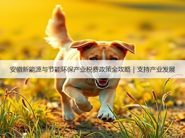 安徽新能源与节能环保产业税费政策全攻略｜支持产业发展(图3)
