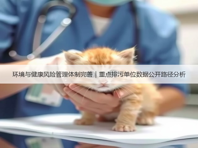 环境与健康风险管理体制完善|重点排污单位数据公开路径分析(图3) 环境与健康风险管理体制完善|重点排污单位数据公开路径分析(图3)