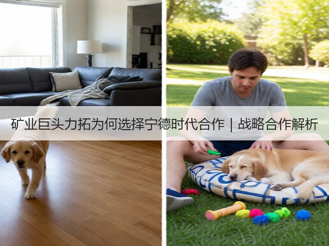 矿业巨头力拓为何选择宁德时代合作｜战略合作解析(图3)