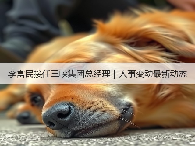 李富民接任三峡集团总经理｜人事变动最新动态(图3)