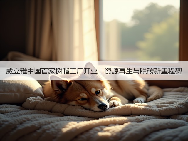 威立雅中国首家树脂工厂开业｜资源再生与脱碳新里程碑(图3)