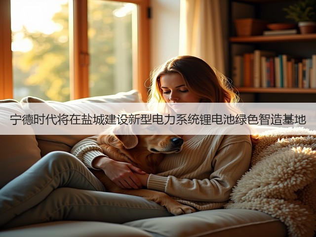 宁德时代将在盐城建设新型电力系统锂电池绿色智造基地(图3) 宁德时代将在盐城建设新型电力系统锂电池绿色智造基地(图3)