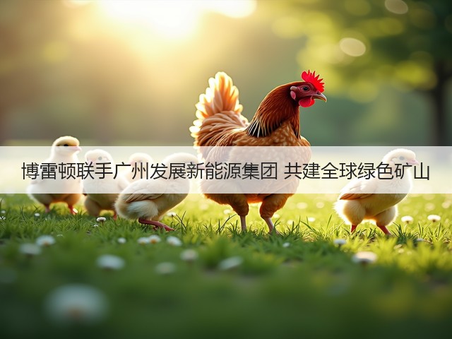 博雷顿联手广州发展新能源集团 共建全球绿色矿山(图3)