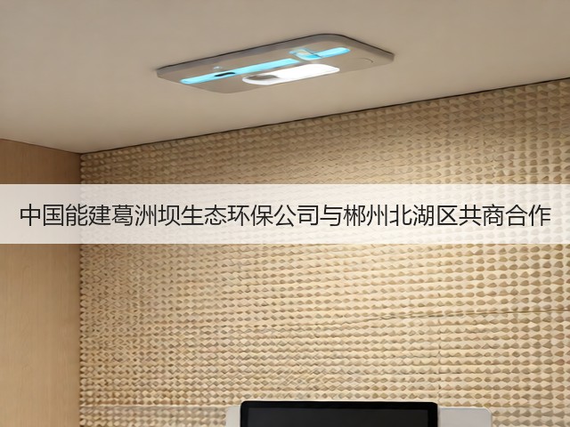 中国能建葛洲坝生态环保公司与郴州北湖区共商合作(图3)