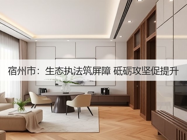 宿州市：生态执法筑屏障 砥砺攻坚促提升(图3)