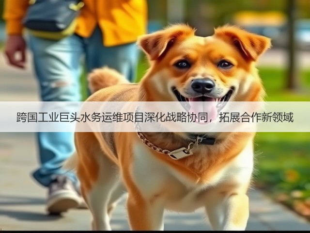跨国工业巨头水务运维项目深化战略协同，拓展合作新领域(图3)