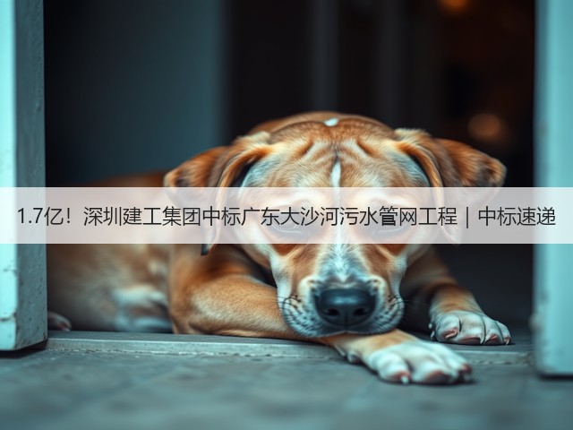1.7亿！深圳建工集团中标广东大沙河污水管网工程｜中标速递(图1)