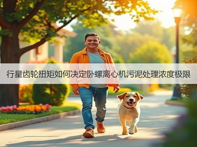 行星齿轮扭矩如何决定卧螺离心机污泥处理浓度极限(图1)