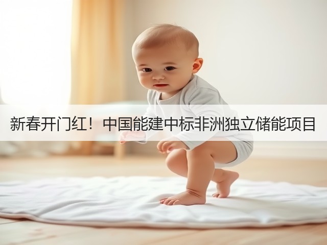 新春开门红！中国能建中标非洲独立储能项目(图2)