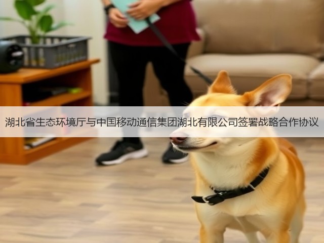 湖北省生态环境厅与中国移动通信集团湖北有限公司签署战略合作协议(图1)