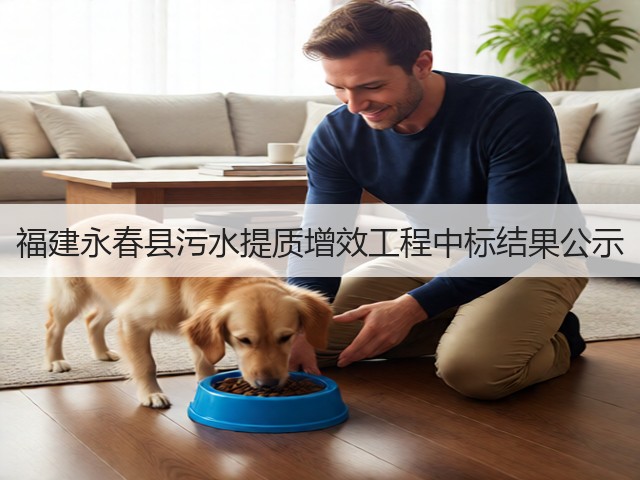 福建永春县污水提质增效工程中标结果公示(图3)