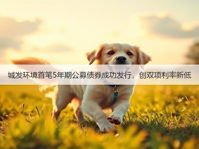 城发环境首笔5年期公募债券成功发行，创双项利率新低(图3)
