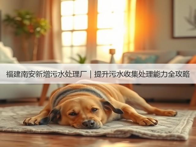 福建南安新增污水处理厂|提升污水收集处理能力全攻略(图3) 福建南安新增污水处理厂|提升污水收集处理能力全攻略(图3)