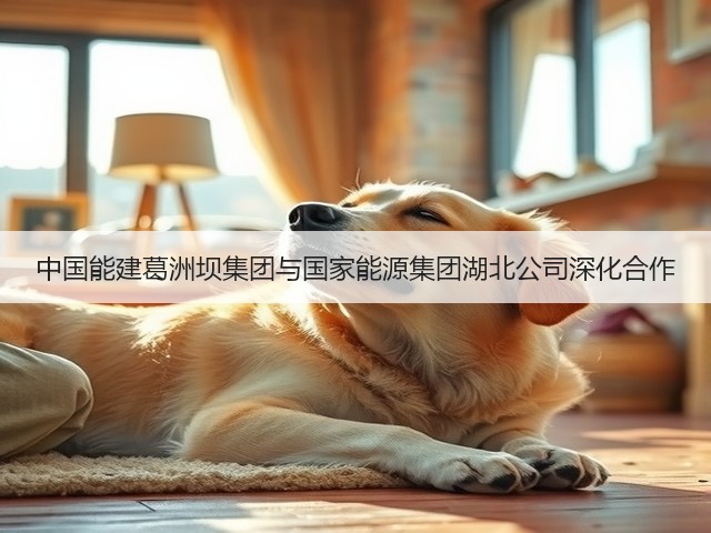 中国能建葛洲坝集团与国家能源集团湖北公司深化合作(图3)