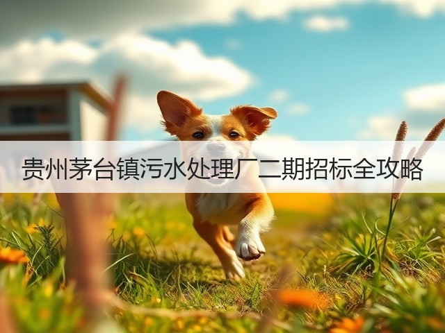 贵州茅台镇污水处理厂二期招标全攻略(图3)