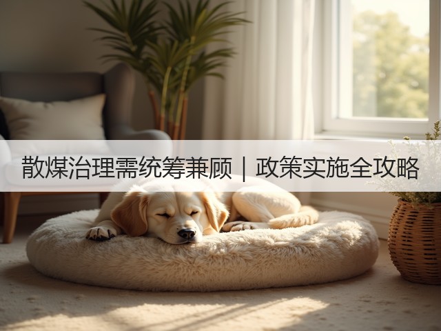 散煤治理需统筹兼顾｜政策实施全攻略(图3)