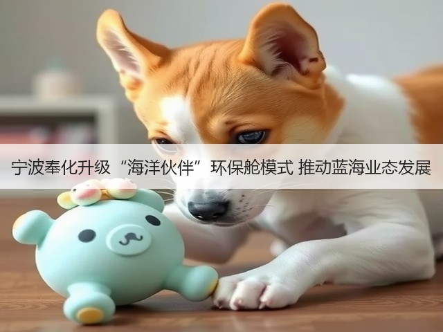宁波奉化升级“海洋伙伴”环保舱模式 推动蓝海业态发展(图2)