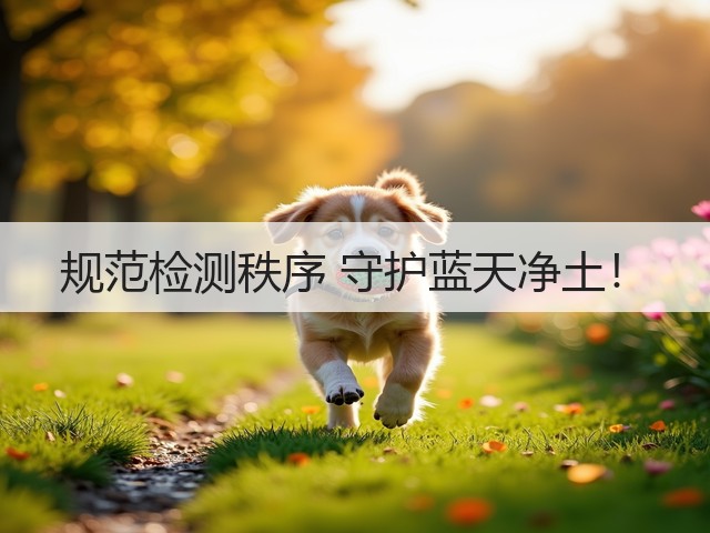 规范检测秩序 守护蓝天净土！(图1)