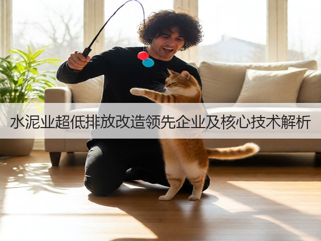 水泥业超低排放改造领先企业及核心技术解析(图1)