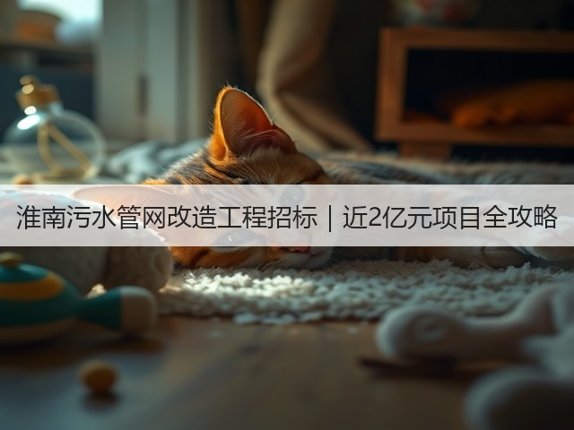 淮南污水管网改造工程招标｜近2亿元项目全攻略(图3)