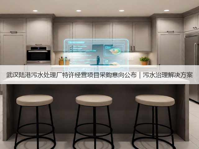 武汉陆港污水处理厂特许经营项目采购意向公布｜污水治理解决方案(图3)