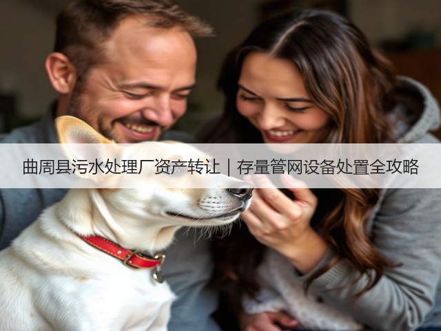 曲周县污水处理厂资产转让｜存量管网设备处置全攻略(图1)