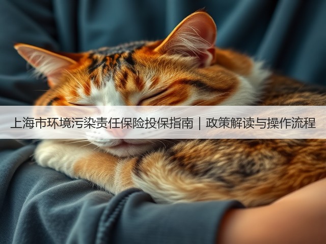 上海市环境污染责任保险投保指南｜政策解读与操作流程(图3)