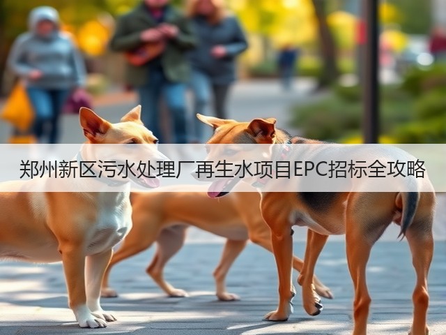 郑州新区污水处理厂再生水项目EPC招标全攻略(图1)