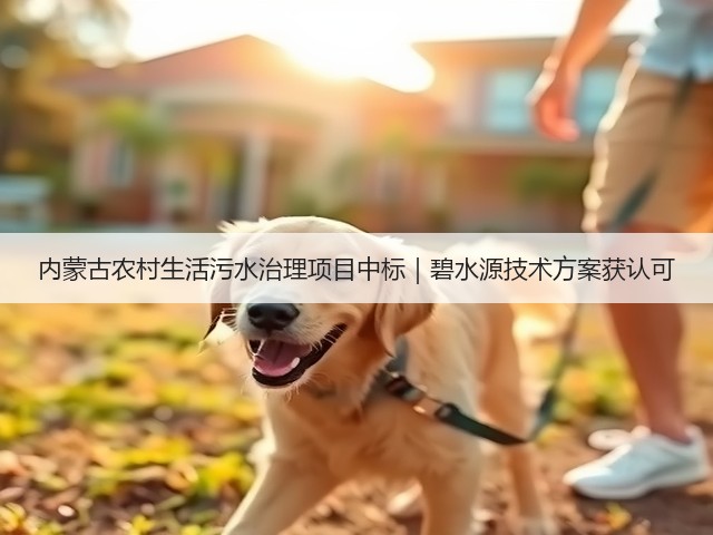 内蒙古农村生活污水治理项目中标｜碧水源技术方案获认可(图3)